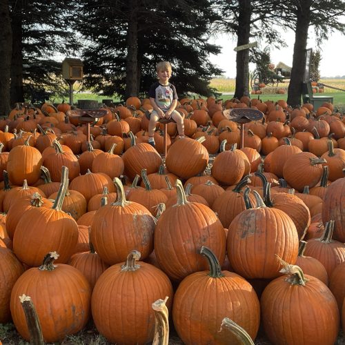 Little Boy Sitting in the Middle of a Bunch of Pumpkins on Display