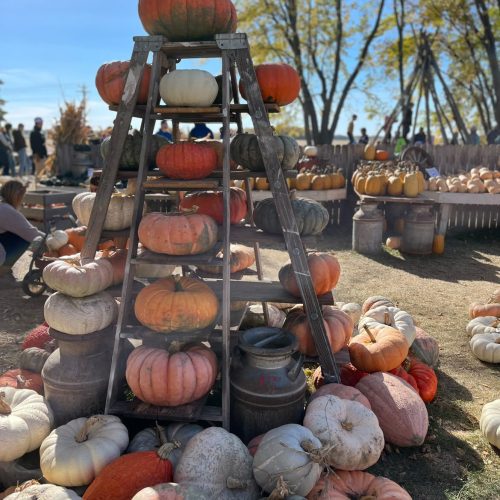Tower of Colorful Pumpkins of Various Sizes