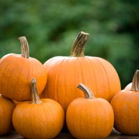 Carving Pumpkins