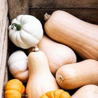 Squash