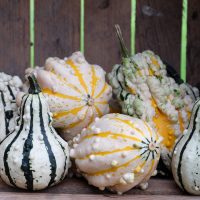Gourds
